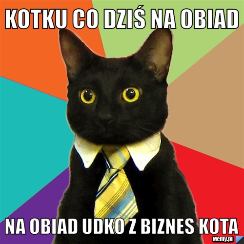 Kotku co dziś na obiad na obiad udko z biznes kota