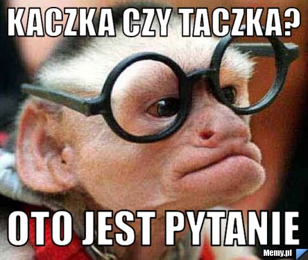 Kaczka czy taczka? oto jest pytanie