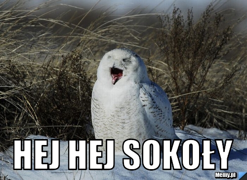  hej hej sokoły
