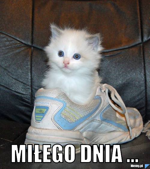  MIŁEGO DNIA ...