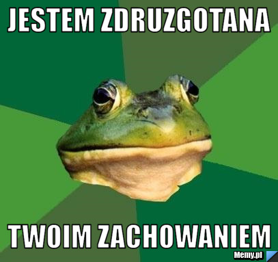 Jestem zdruzgotana twoim zachowaniem