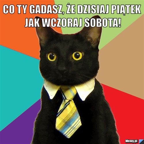 Co ty gadasz, że dzisiaj piątek jak wczoraj sobota! 