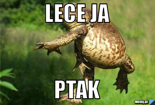 Lece ja  ptak