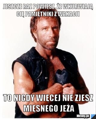 Jeszcze raz powiesz, że wkurwiają cię pamiętniki z wakacji  to nigdy więcej nie zjesz mięsnego jeża