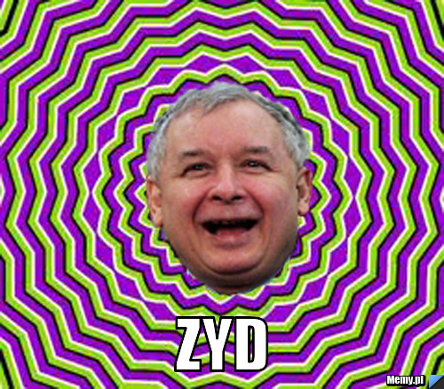  zyd