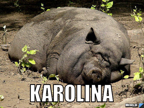  karolina
