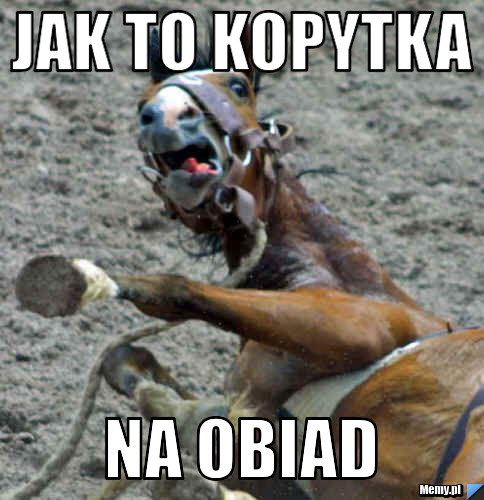 JAK TO KOPYTKA  NA OBIAd
