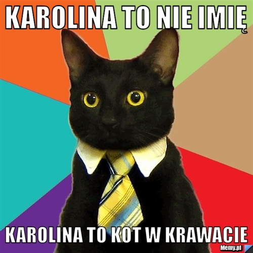 Karolina to nie imię Karolina to kot w krawacie