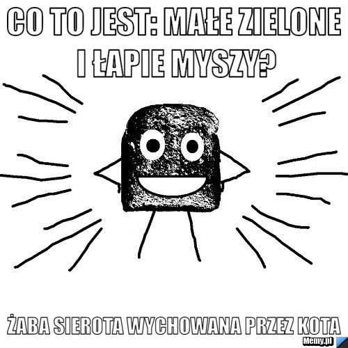 Co to jest: małe zielone i łapie myszy? żaba sierota wychowana przez kota 