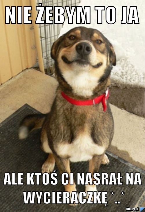 Nie żebym to ja  ale ktoś ci nasrał na wycieraczkę *..*