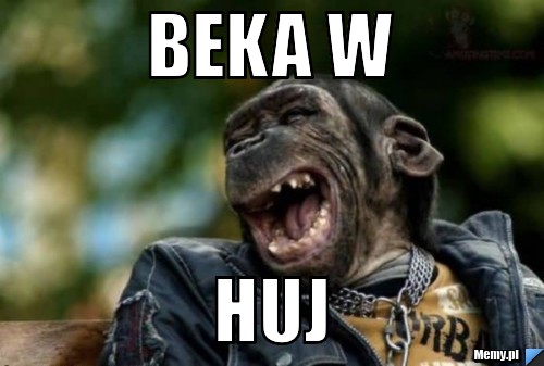 Beka w huj