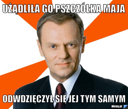 Użądliła go pszczółka Maja Odwdzięczył się jej tym samym