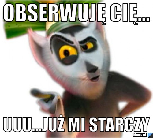OBSERWUJĘ CIĘ... UUU...JUŻ MI STARCZY