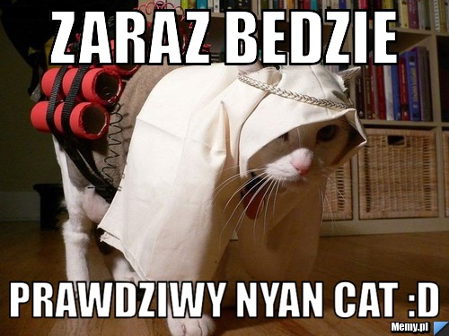 Zaraz bedzie  prawdziwy NYAN CAT :D