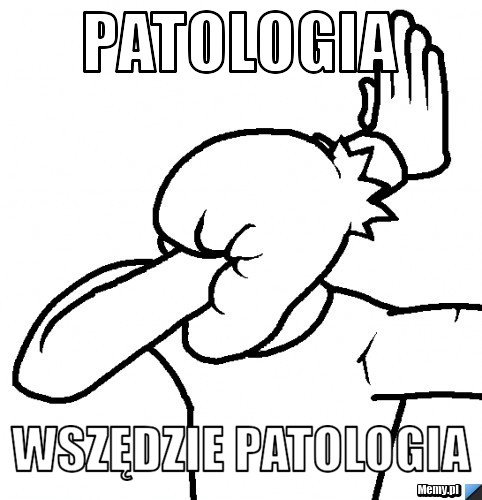 Patologia wszędzie patologia