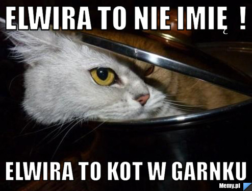 Elwira to nie imię  ! Elwira to kot w garnku 