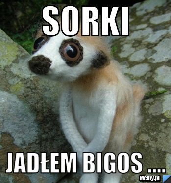 Sorki jadłem bigos ....