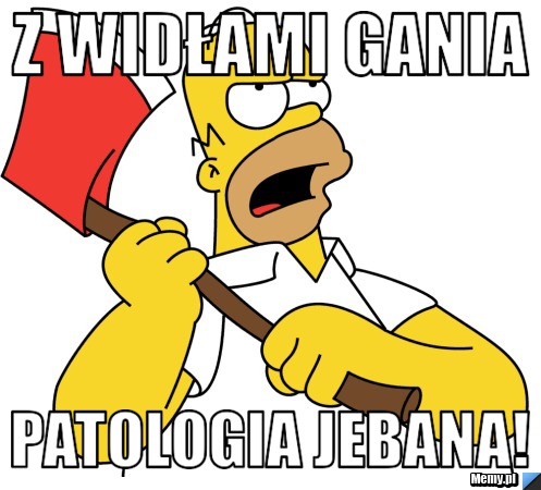 Z WIDŁAMI GANIA PATOLOGIA JEBANA!