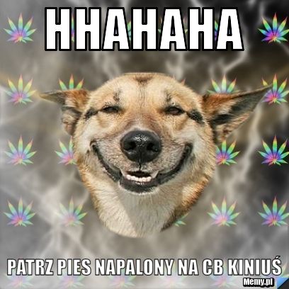 HHAHAHA paTRZ PIES NAPALONY NA CB kINIUŚ