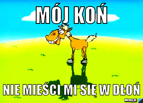 M&oacute;j koń nie mieści mi się w dłoń