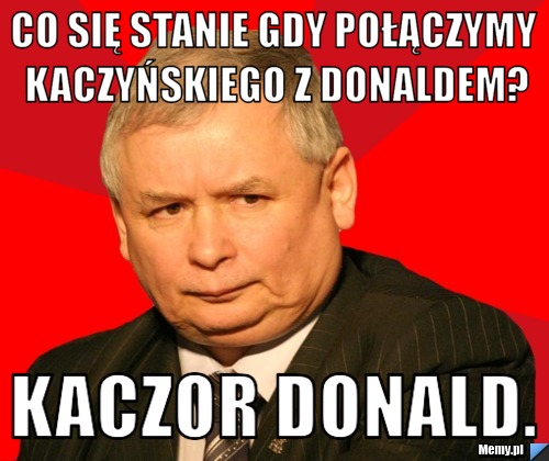 Co się stanie gdy połączymy Kaczyńskiego z Donaldem? Kaczor Donald.