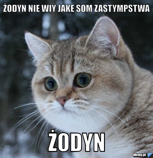 Żodyn nie wiy jake som zastympstwa ŻODYN