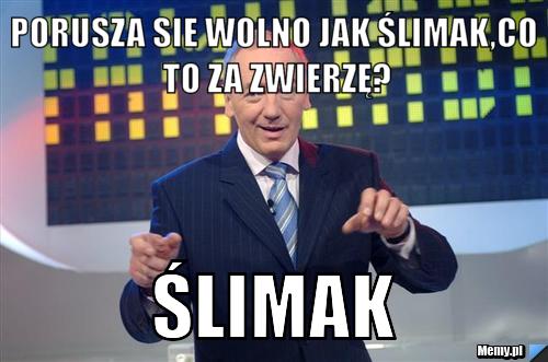 Porusza sie wolno jak ślimak,co to za zwierzę? ślimak