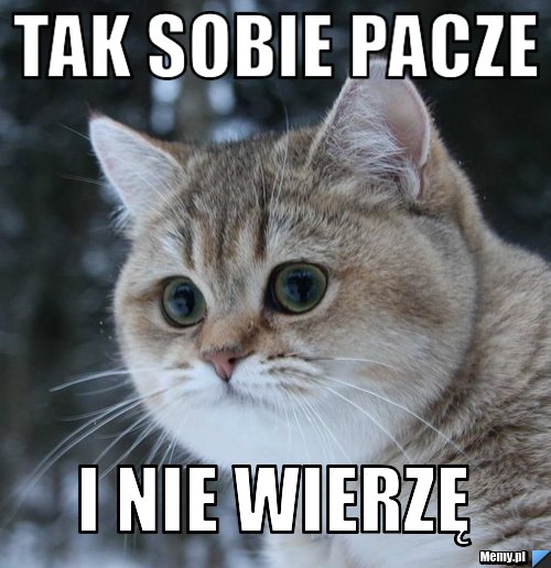 Tak sobie pacze i nie wierzę