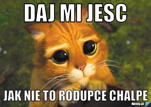 Daj mi jesc jak nie to rodupce chalpe
