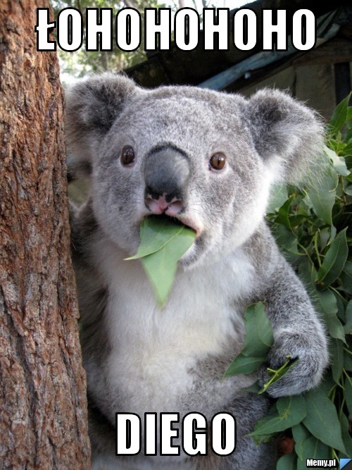 Łohohohoho Diego