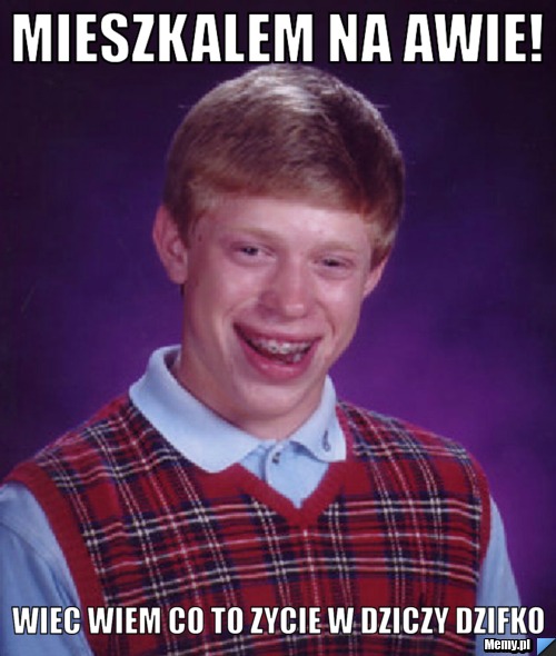 Mieszkalem na AWIE! Wiec wiem co to zycie w dziczy DZIFKo