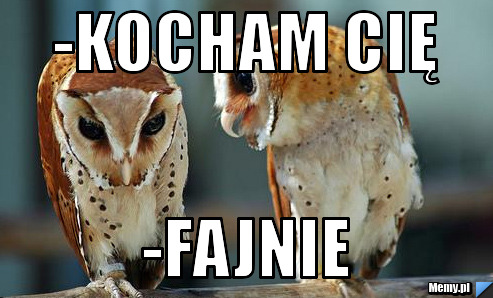 -Kocham Cię -Fajnie