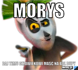 MORYS DAJ TEMU CZLOWIEKOWI MASC NA BOL DUPY