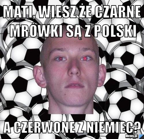 Mati, wiesz że czarne mrówki są z polski  a czerwone z niemiec?