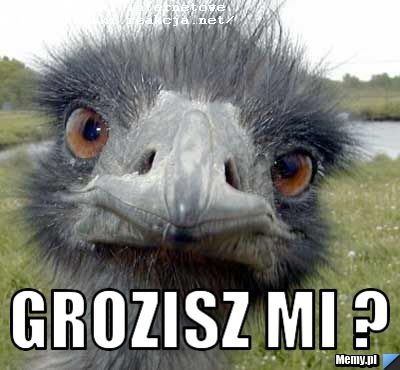  grozisz mi ?