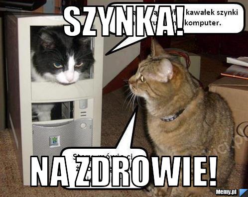 Szynka! na zdrowie!