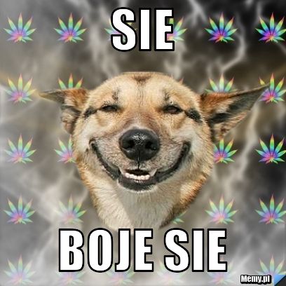 Sie boje sie
