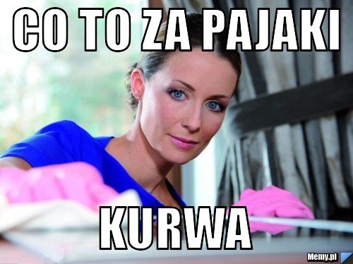 Co to za pajaki Kurwa 