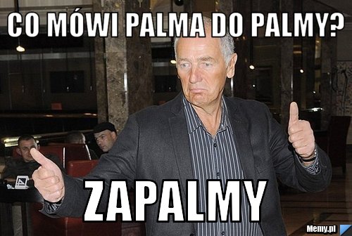 Co mówi palma do palmy? Zapalmy