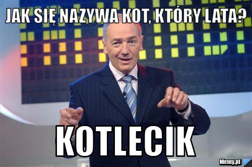 Jak się nazywa kot, który lata? kotlecik