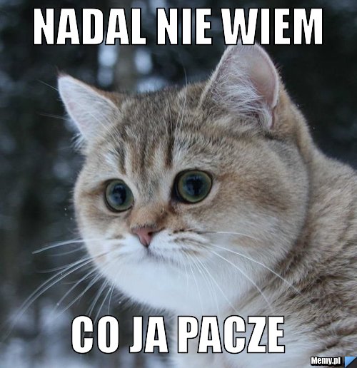 Nadal nie wiem co ja pacze