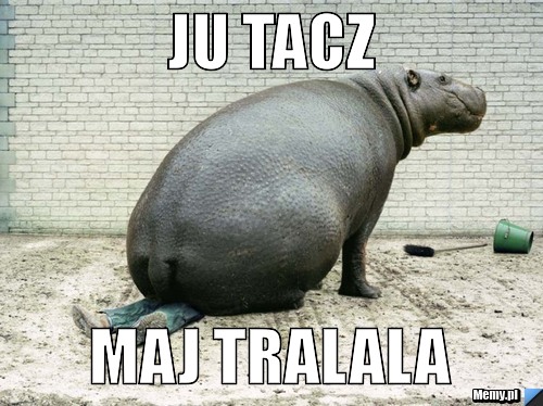 Ju tacz maj tralala