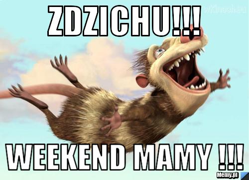 ZDZICHU!!! WEEKEND MAMY !!!