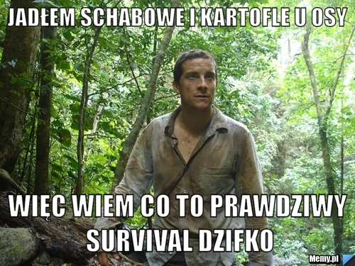 Jadłem Schabowe i Kartofle u osy więc wiem co to prawdziwy survival dzifko