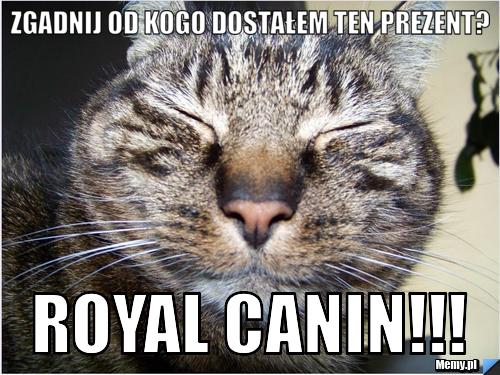 Zgadnij od kogo dostałem ten prezent? Royal canin!!!