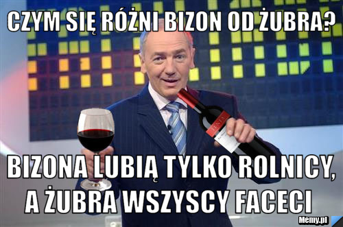Czym się różni bizon od żubra? bizona lubią tylko rolnicy, a żubra wszyscy faceci  