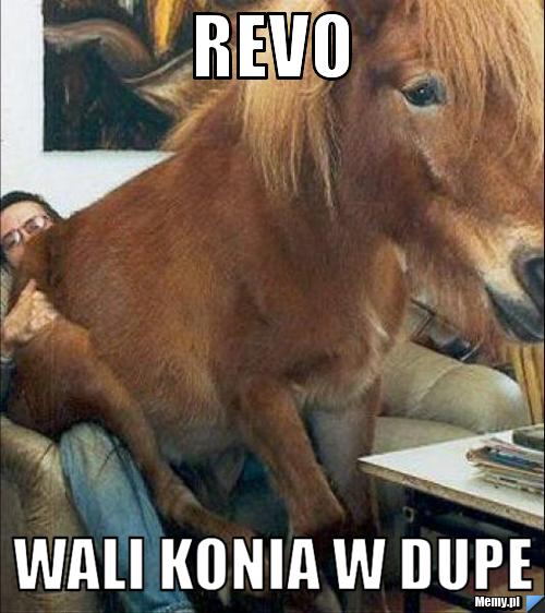 Revo wali konia w dupe