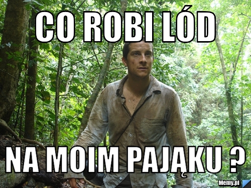Co robi lód  na moim pająku ?