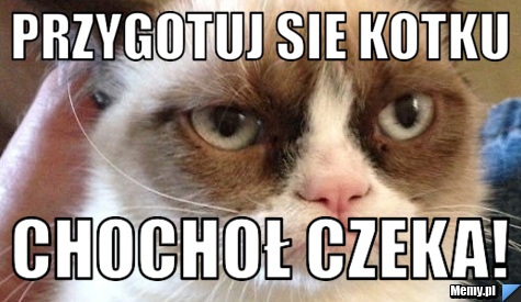 Przygotuj sie Kotku chochoł czeka!