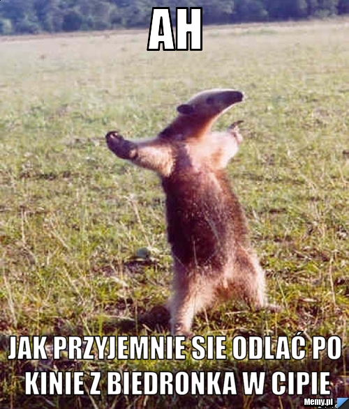 Ah jak przyjemnie sie odlać po kinie z biedronka w cipie